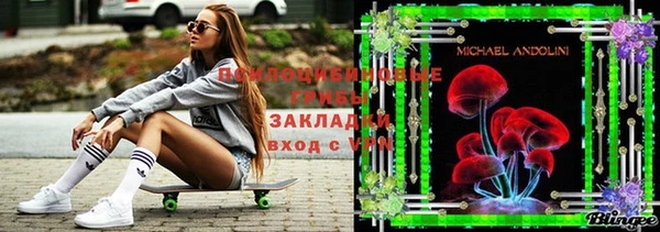 a pvp Алзамай