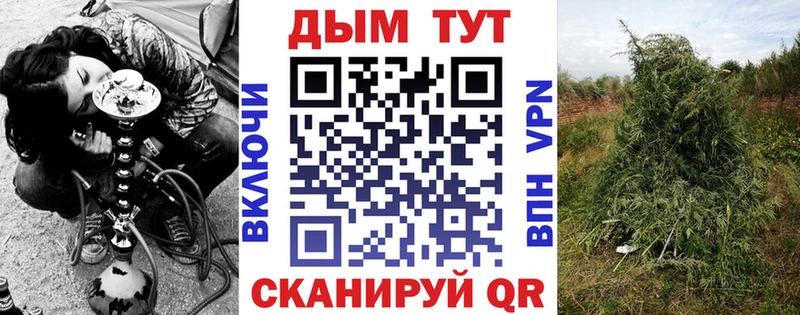 Марихуана OG Kush  где продают   Жигулёвск 